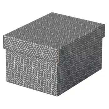 Caja de almacenamiento Esselte 628281 gris rectangular 200x255x150 mm
