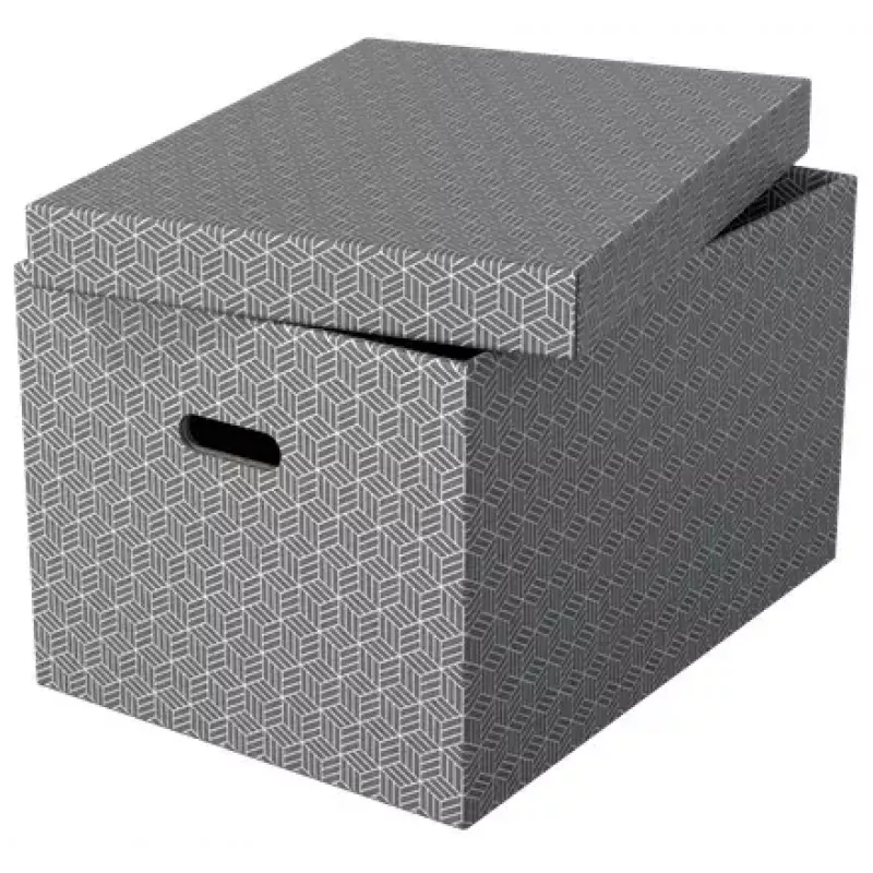 Caja de almacenamiento ESSELTE 628287 rectangular cartón gris 355×510×305 mm