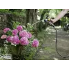 Manguera Kärcher Performance Premium 1/2 pulgadas-50m