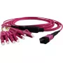 Grafenthal GTOM4MPOU4LCU00500 Cable de conexión OM4 MPO a 4xLC 5 m