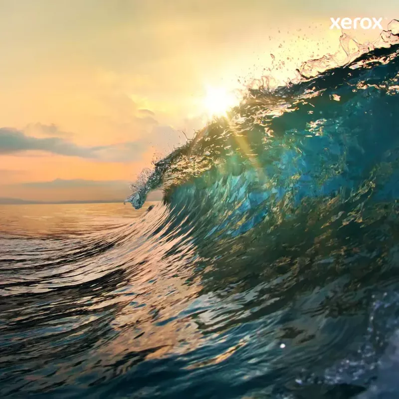 Tóner Xerox DC700 cian 006R01384 20000 páginas
