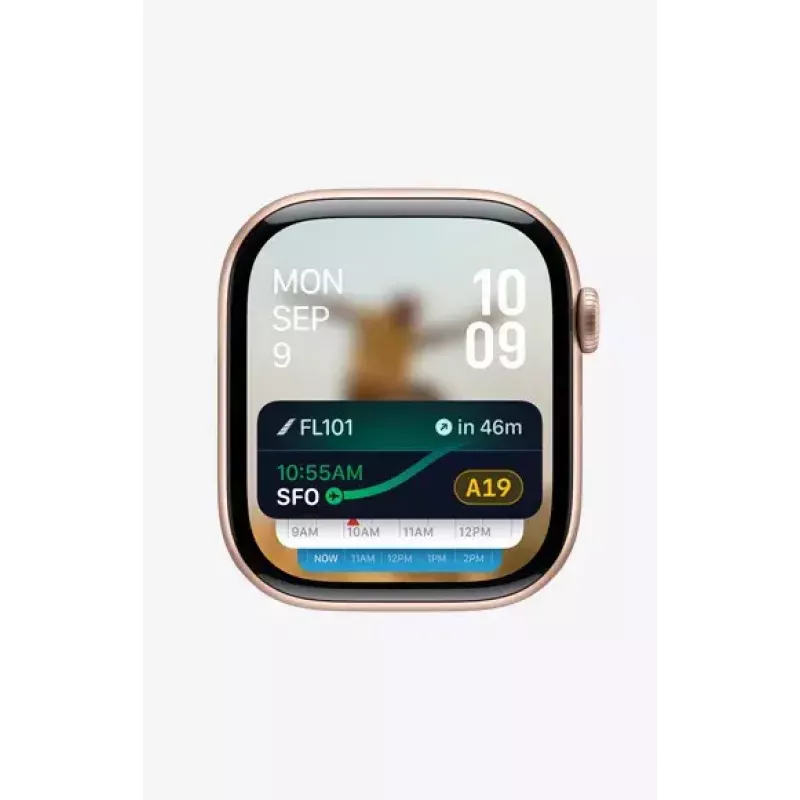 Smartwatch Apple Watch Series 10 GPS + Cellular 42 mm Titanio pizarra Negro