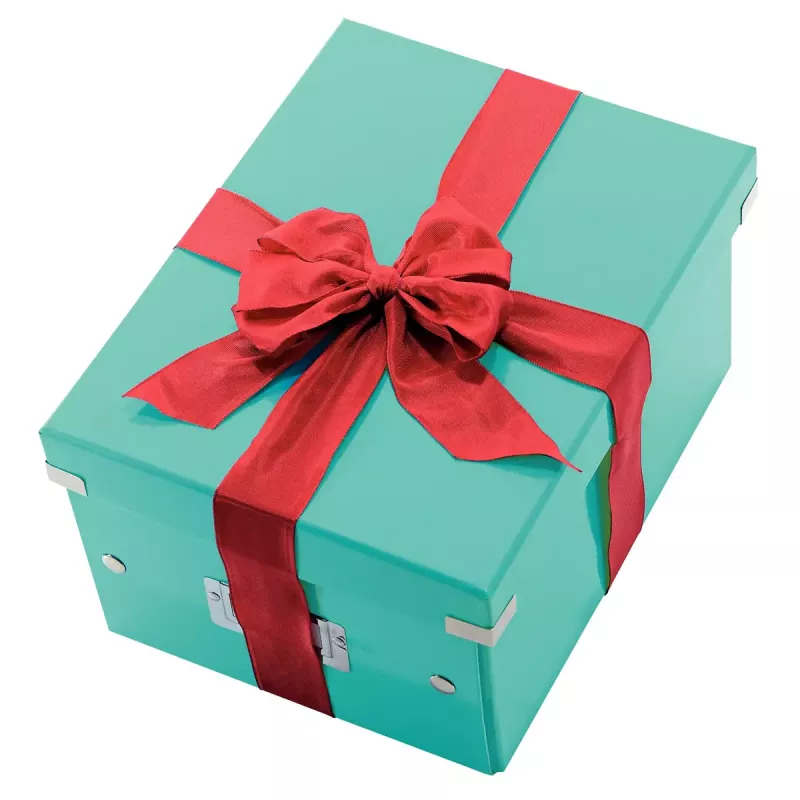 Caja de almacenamiento Leitz Click & Store Medium Box