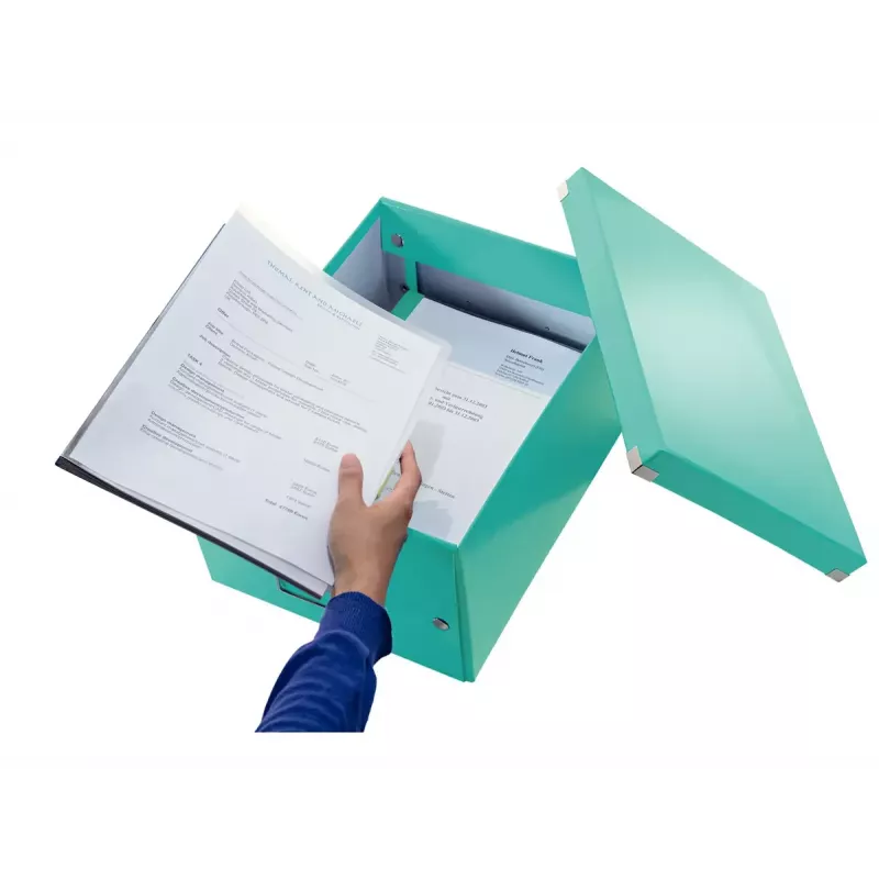 Caja de almacenamiento Leitz Click & Store Medium Box