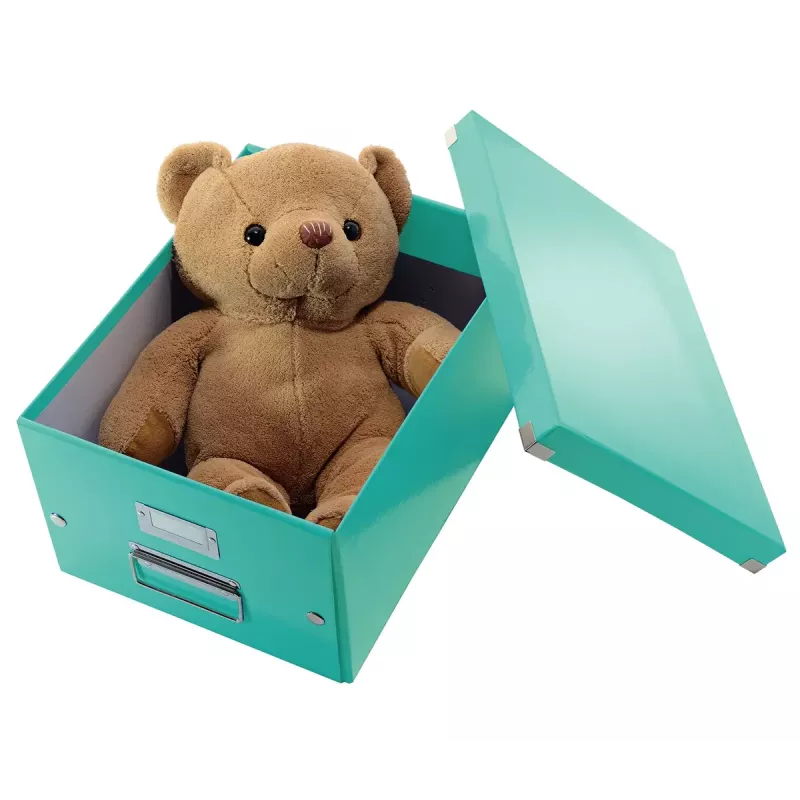 Caja de almacenamiento Leitz Click & Store Medium Box