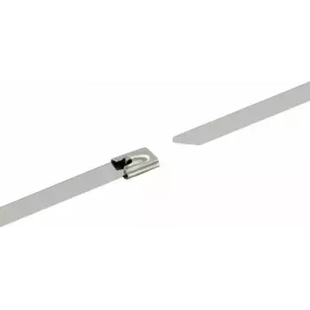 Bridas de acero inoxidable Schwaiger 10 uds.