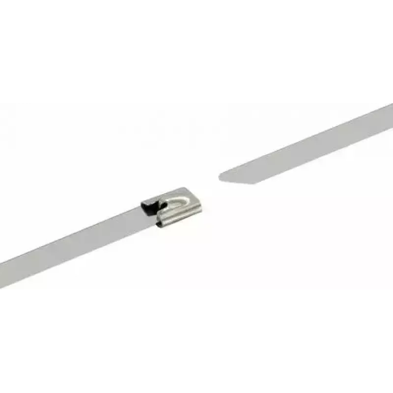 Bridas de acero inoxidable Schwaiger 10 uds.