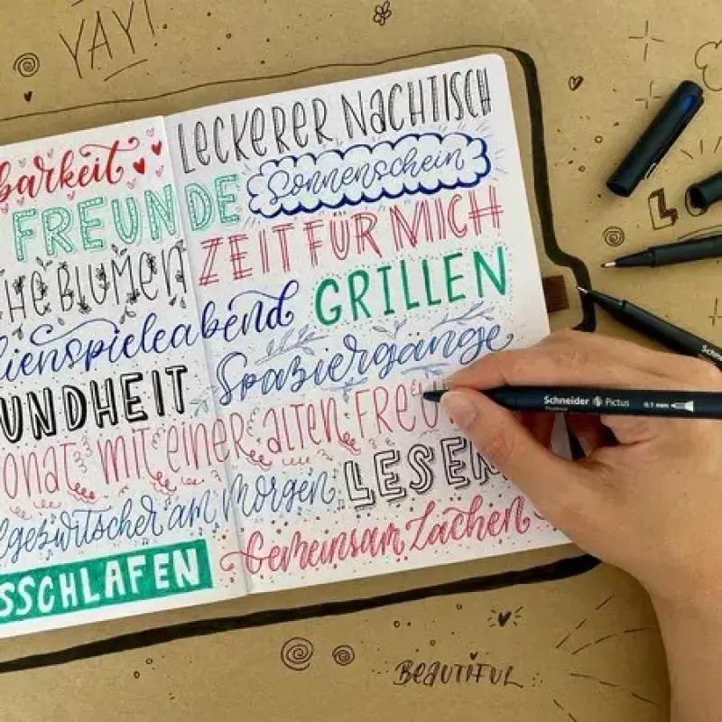 Rotulador fineliner Schneider Schreibgeräte Pictus negro azul verde rojo 5 uds.