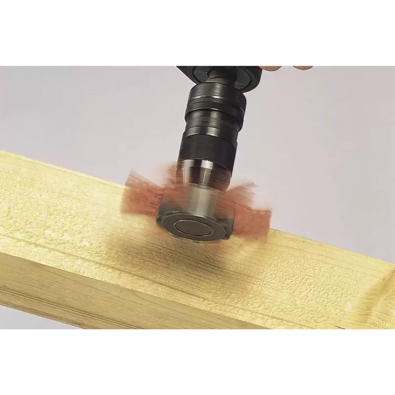 Rueda de láminas rotativa de nailon Wolfcraft 1512000