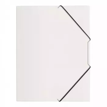 Archivador Pagna 21613-19 polipropileno (PP) goma transparente A4
