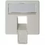 Placa frontal 50×50 mm para AMJ45 8/8 UP/O, Telegärtner, blanco alpino