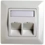 Marco adaptador RJ45 Cat.5e Telegärtner H02010A0040 45° doble 80x80 mm blanco alpino