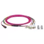 Cable de fibra óptica EFB Elektronik MTPF08LCOM4-3 3 m