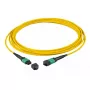 Cable de fibra óptica EFB Elektronik MTPF48MTPFOS2-10-A MTP OS2 10 m Amarillo