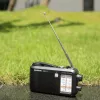 Radio portátil Sangean MMR-77 Analógica AM FM Negra 3,5 mm auriculares