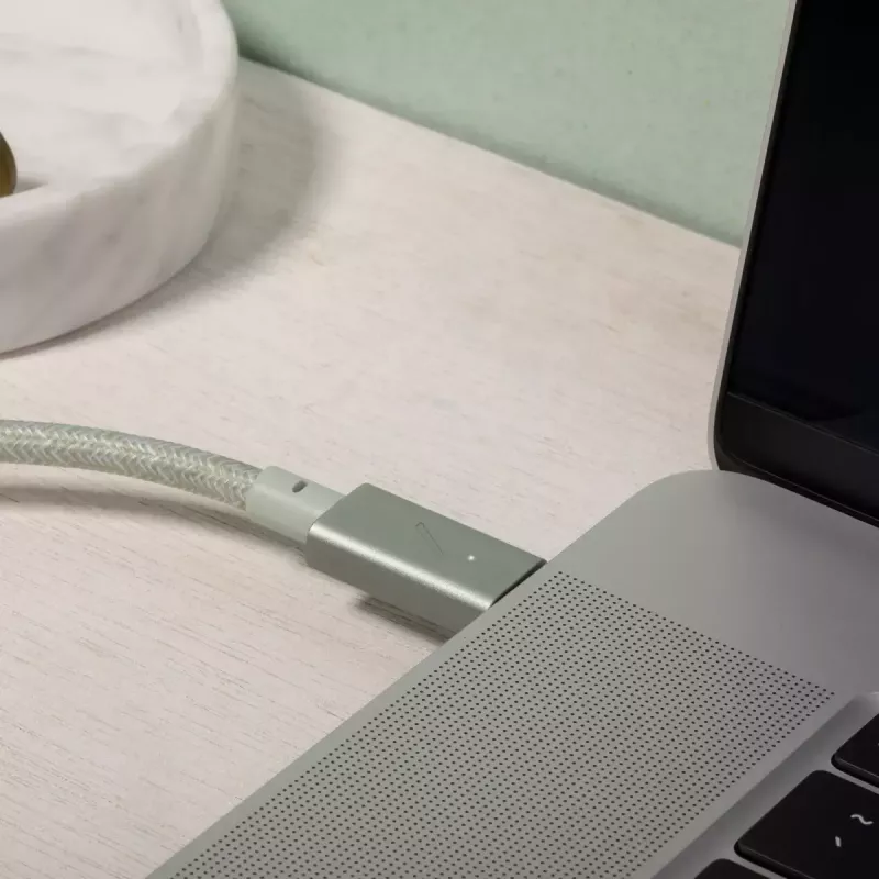 Native Union Belt Cable Pro USB-C a USB-C, 2,4 m, pantalla LED, Rose