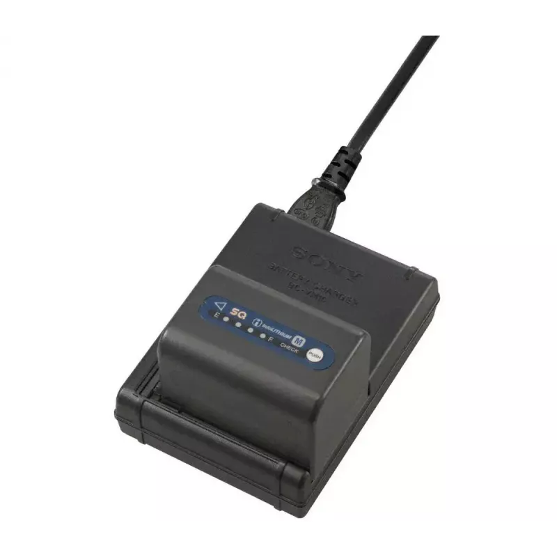 Cargador Sony BC-VM10
