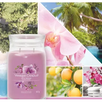 Vela de cera Yankee Candle Wild Orchid altura 157 mm ancho 93 mm