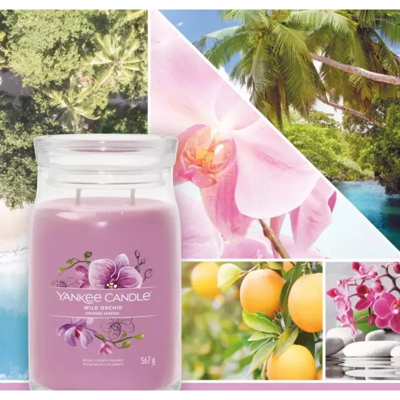 Vela de cera Yankee Candle Wild Orchid altura 157 mm ancho 93 mm
