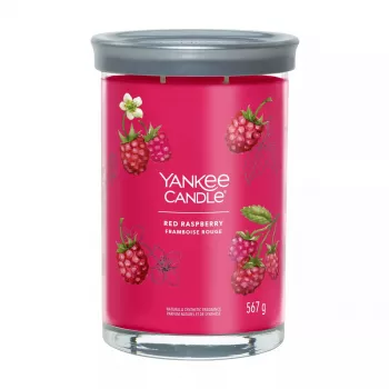 Vela de cera cilíndrica Yankee Candle 1724404E altura 149 mm diámetro 9,9 cm