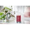 Vela de cera Yankee Candle 1724478E Rojo cereza 149 mm 567 g
