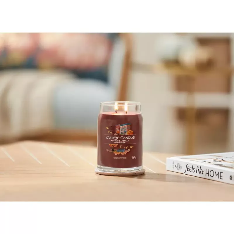 Vela de cera Yankee Candle 1743378E Rojo 157 mm de altura 9,3 cm de diámetro 567 g