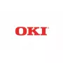 Pieza de repuesto montaje de bastidor separador OKI 43922402 para impresoras OKI