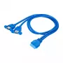 Cable adaptador USB 3.0 interno Akyga AK-CA-62, cabecera de 19 pines a 2 x conector hembra USB-A, 0,65 m