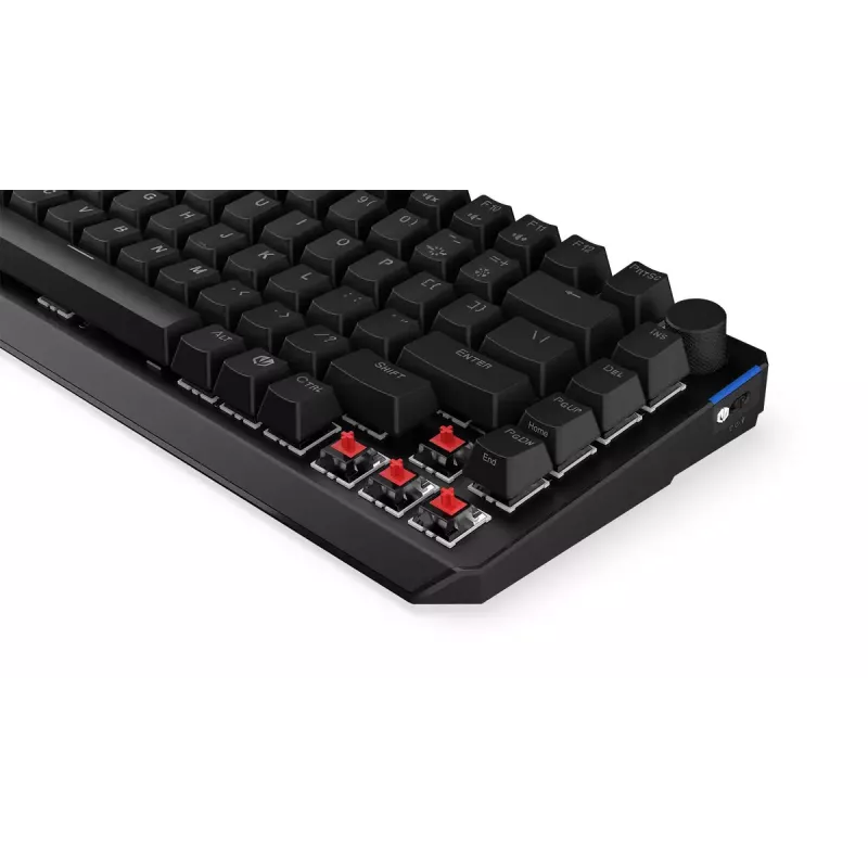 Teclado mecánico inalámbrico ENDORFY Thock 75% Red RGB LED negro