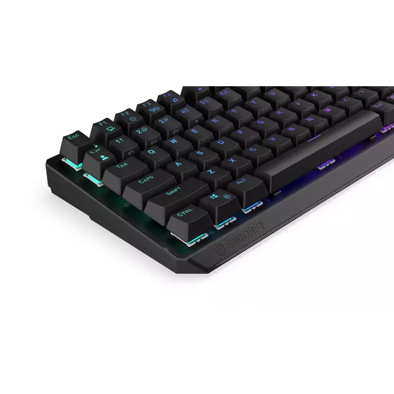 Teclado mecánico inalámbrico ENDORFY Thock 75% Red RGB LED negro