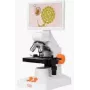 Microscopio digital MatataLab MatataStudio MT3-4 – modelo MT3-4 microscopio digital