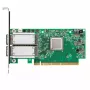 Tarjeta de red Mellanox Technologies MCX556A-ECAT