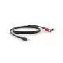 Cable de audio Kramer Electronics C-A35M/2RAM-6 1,8 m 3,5 mm 2xRCA negro