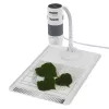 Microscopio digital Carson EFLEX 300x, aumento 75–300×, cámara 1600×1200, gris/blanco