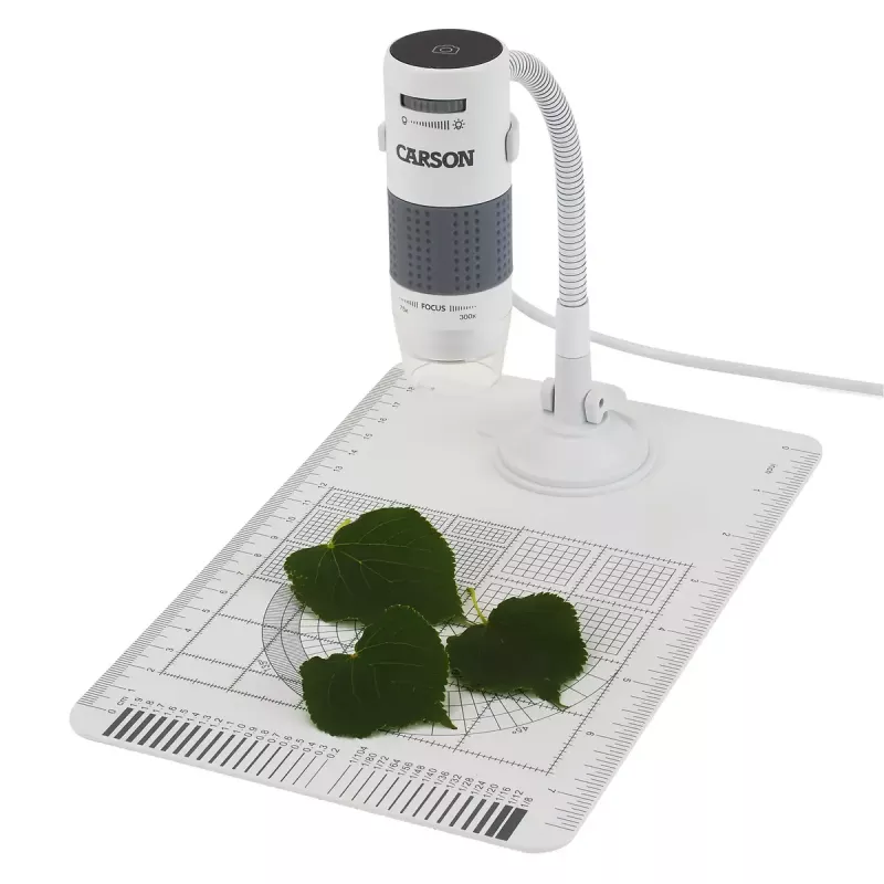 Microscopio digital Carson EFLEX 300x, aumento 75–300×, cámara 1600×1200, gris/blanco