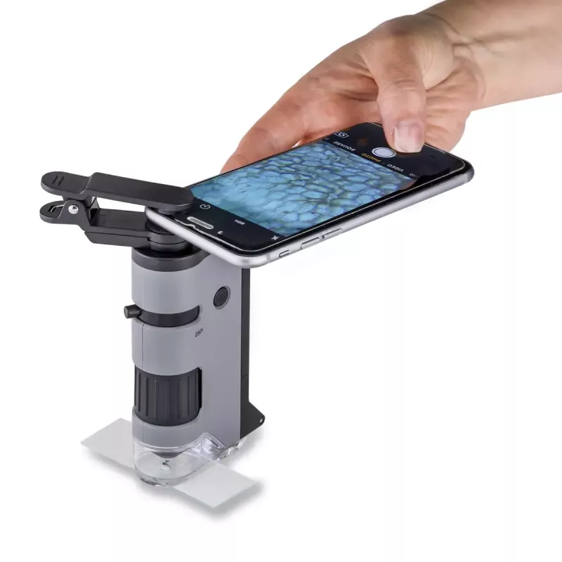 Microscopio digital Carson MICROFLIP 250x negro acero inoxidable