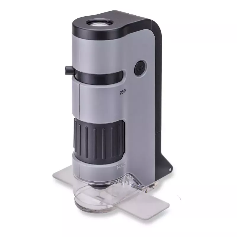 Microscopio digital Carson MICROFLIP 250x negro acero inoxidable