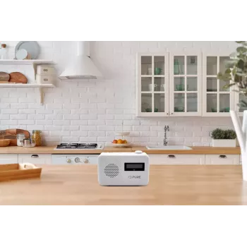 Radio portátil Pure Elan One 2 Digital DAB+ FM 1,5 W