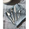 Set de cubiertos de cocina ALESSI BG02S24 — set de cuchillo y tenedor de mesa, acero inoxidable