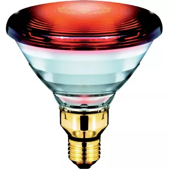 Bombilla Philips PAR38 IR 150 W E27 230 V rojo infrarrojo para la salud