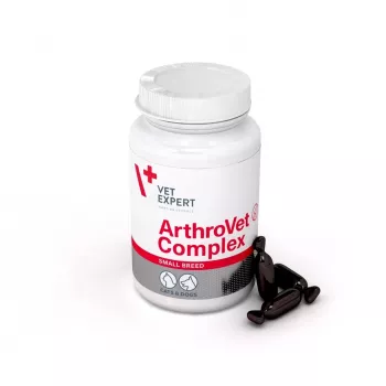 VETEXPERT ArthroVet Collagen Small breed - Complemento alimenticio para perros y gatos - 60 comprimidos
