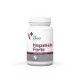 VetExpert Hepatiale Forte Large Breed 40 comprimidos.