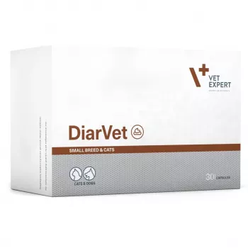 VetExpert Diarvet Small Breed y gatos 30 cápsulas.