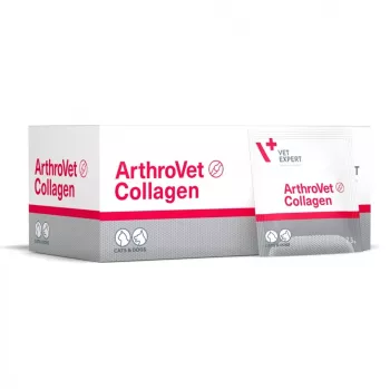 VETEXPERT ArthroVet Collagen - Complemento alimenticio para perros y gatos - 60 sobres