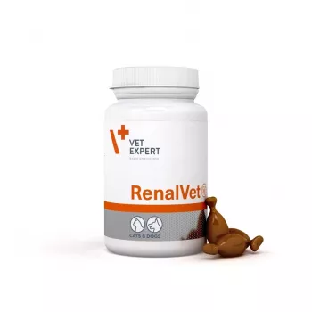 VetExpert RenalVet 60 cápsulas.