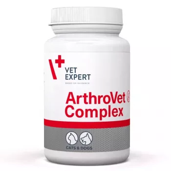 VETEXPERT ArthroVet Complex - Complemento alimenticio para perros y gatos - 60 comprimidos