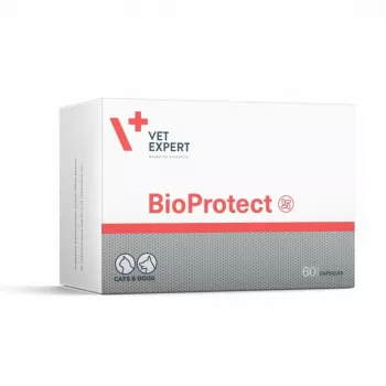VETEXPERT Bioprotect - Complemento alimenticio para perros y gatos - 60 comprimidos