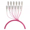 Cable trunk EFB U-DQ(ZN)BH OM4 12G (1x12) SC-SC 50m Dca LSZH