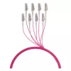 Cable trunk EFB U-DQ(ZN)BH OM4 8G (1x8) LC-LC 140m Dca LSZH
