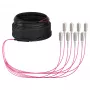Cable trunk EFB U-DQ(ZN)BH OM4 8G (1x8) SC-SC 20m Dca LSZH